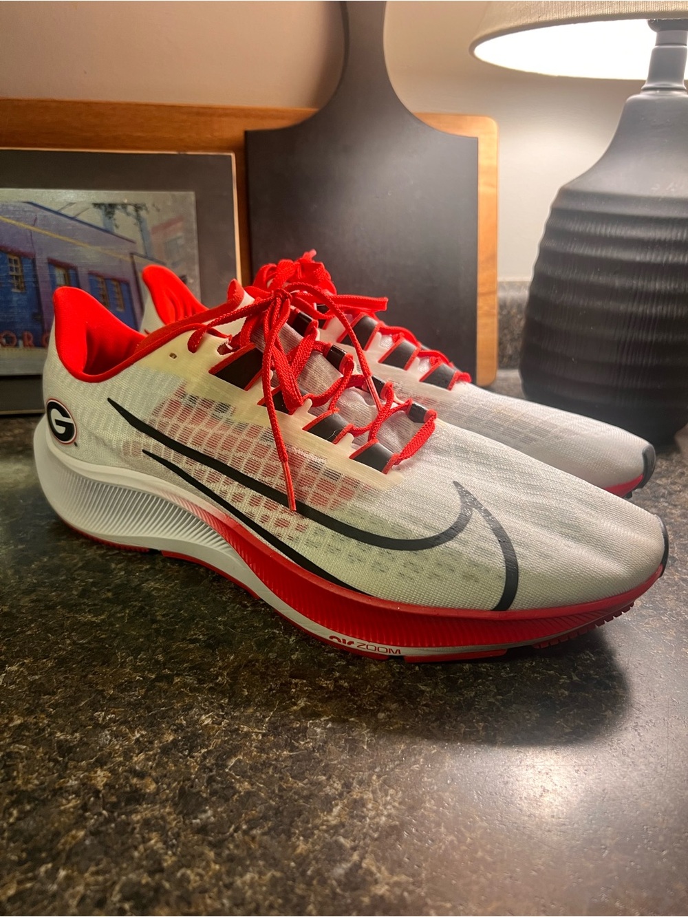 Nike Men’s Air Zoom Pegasus 37 UGA Running Shoes - 2020 Team Issued